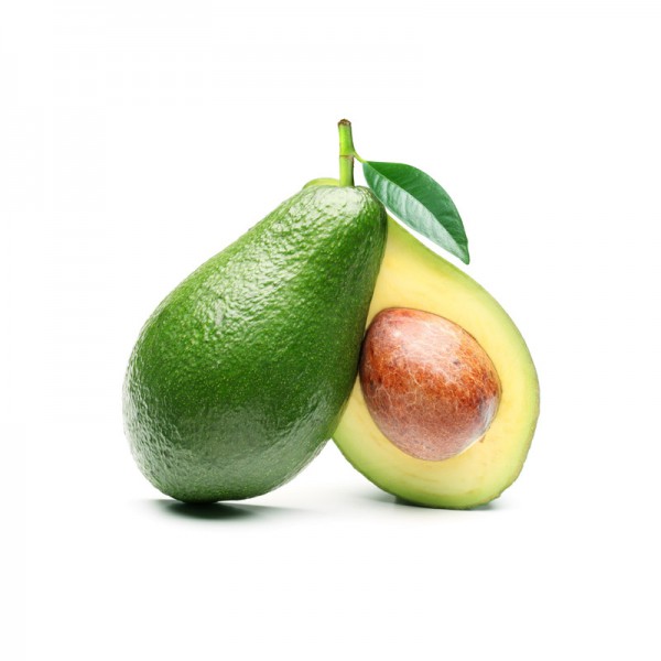 ante sodales bibendum