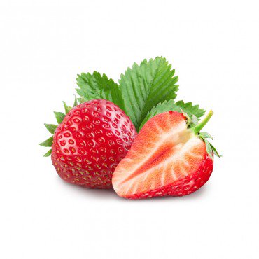 Integer ullamcorper...