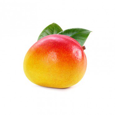 Donec magna purus...