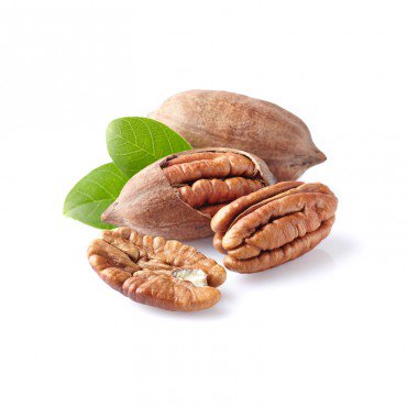 Suspendisse potenti...