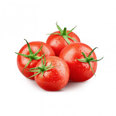 finibus malesuada...